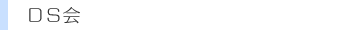 DS会